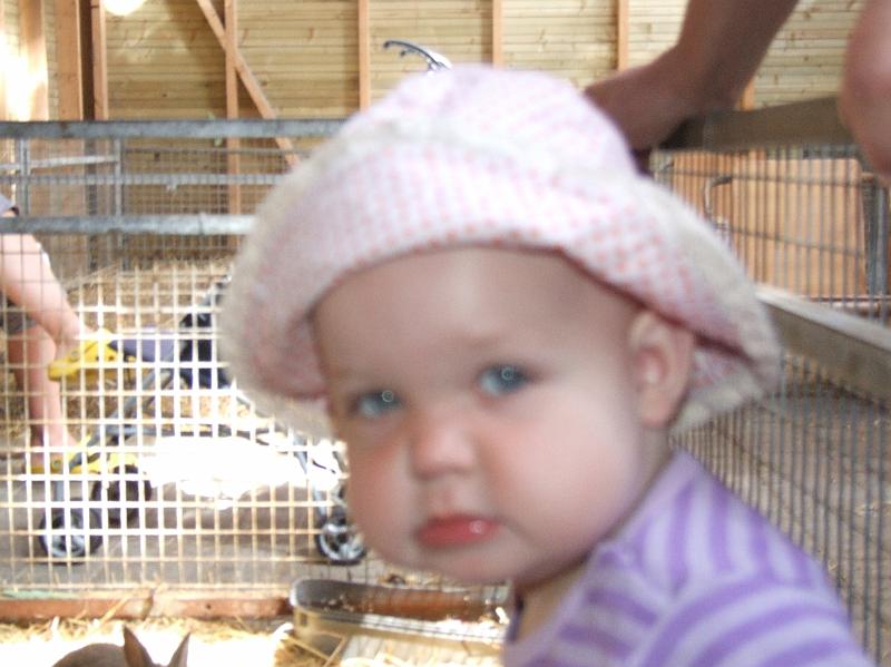 Sofia i  FarmFun 094.jpg